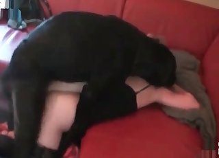 Hot blonde is having sex with a dog