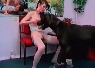 Bitch is getting screwed by a mutt