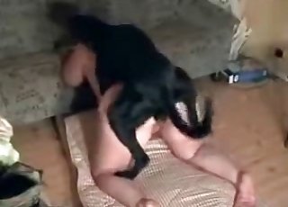 Woman smashes with her black doggy
