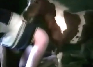 Dog is having an awesome sex at the farm
