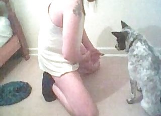 Amateur bestiality oral sex with a small pet