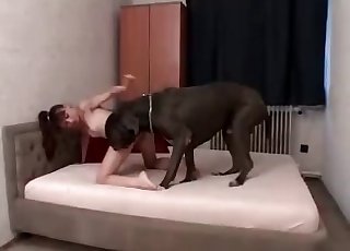 Crazy and muddy sex with a lusty Doberman