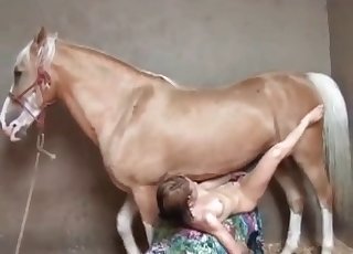 Nice horse cock in a taut honeypot