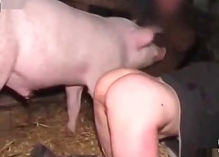 Filthy farm animal and sloppy whore