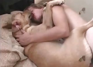 Asshole of a hound is being penetrated in the bestiality style