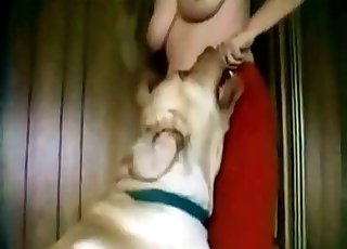 Perverted animal porn action in the guest room