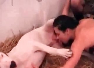 Dog orgy action with a sweet cutie