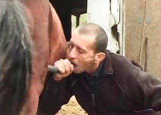 Masculine zoophile is smelling farm animal's butthole