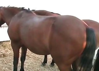 Sexy-shaped queen is showcasing off her slender body