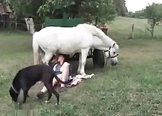 Good fellatio for a milky stallion