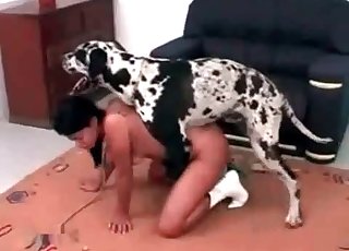 Sweet doggy is a really skillful fucker