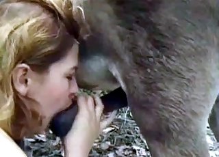Sensuous oral hook-up with a nice-looking animal