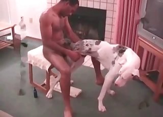 Animal sex action with a instructed animal