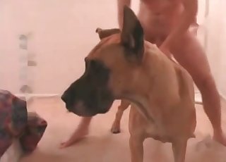 Asshole of a doggy is fitting his stiffy perfectly