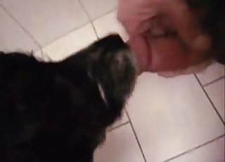 This doggy is licking a dick like a pro