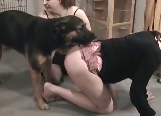 Doggy is getting in the awesome threesome