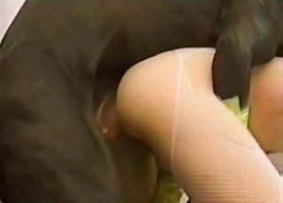 Pipe of a rear end is looking so edible