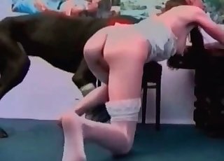 Těsná vagína nabodnutá na tuhý dobermanem