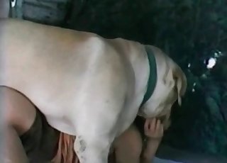 Doggy penetrates a highly dirty zoophile