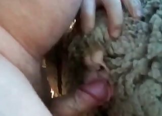 Anal bang-out with a perverted sheep at the farm