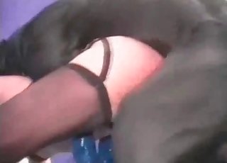 ایک شہوت انگیز عقبی سرے کے ساتھ سخت جنسی