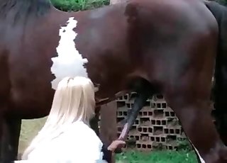 Sweet bleached lady is wanking a pony cock