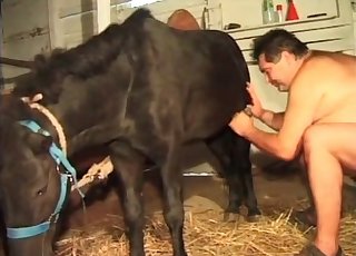 Dirty farm porn with super-hot anal smashing
