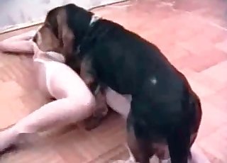 Mongrel enjoying skinny babe’s tight muff