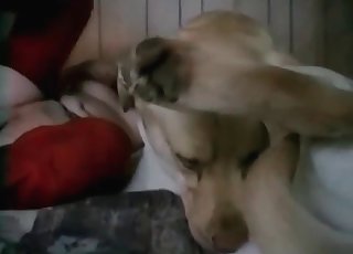 एक हॉट डॉगी के साथ शानदार फ़कफ़ेस्ट