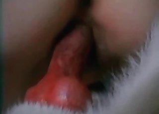 Imponerende fuckfest med en hotdog