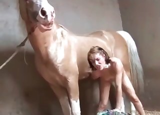 Bony chick letting a horse nail her