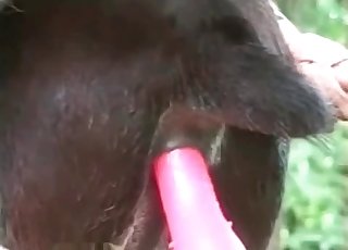 From the rear luving a sex toy