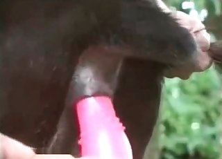 從後面愛撫性玩具