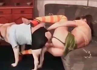 Ginormous dog fucking on web cam