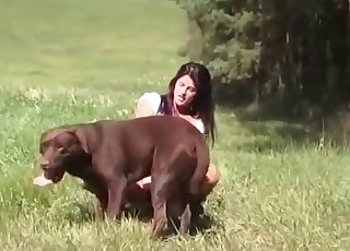 Girl fucking a chocolate-colored pup