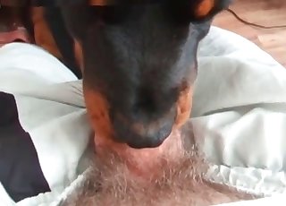 Slutty doggy-style deepthroat action