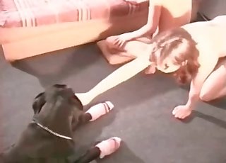 Girl gets fucked by a stellar boxer