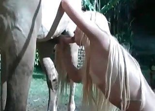 Stallion enjoying tight human puss