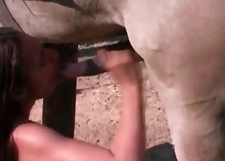 Sloppy BJ for a beast