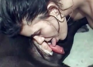 Dog dick being gobbled and pleasured