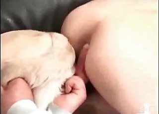 Doggy’s firs-time buttfuck