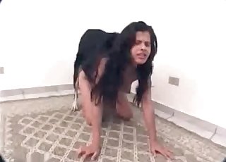 Babe is getting screwed by a dog