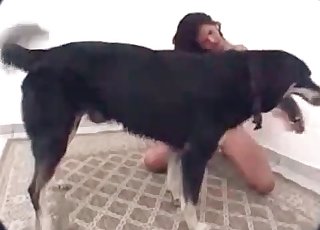 Babe is getting screwed by a dog