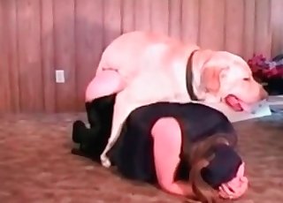 Brown stray fucking its owner