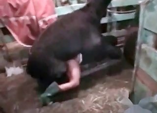 她喜欢和羊交配