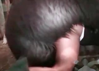 A ella le encanta coger ovejas