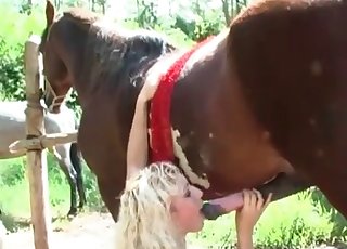 Mustang baise sa proie