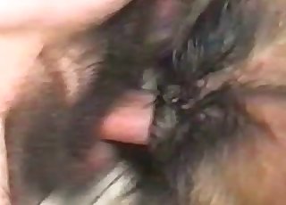 Filthy missionary sex with a mutt