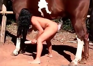 Kinky big-chested whore and horse