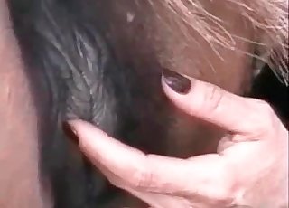 Passionate rimjob for a horse
